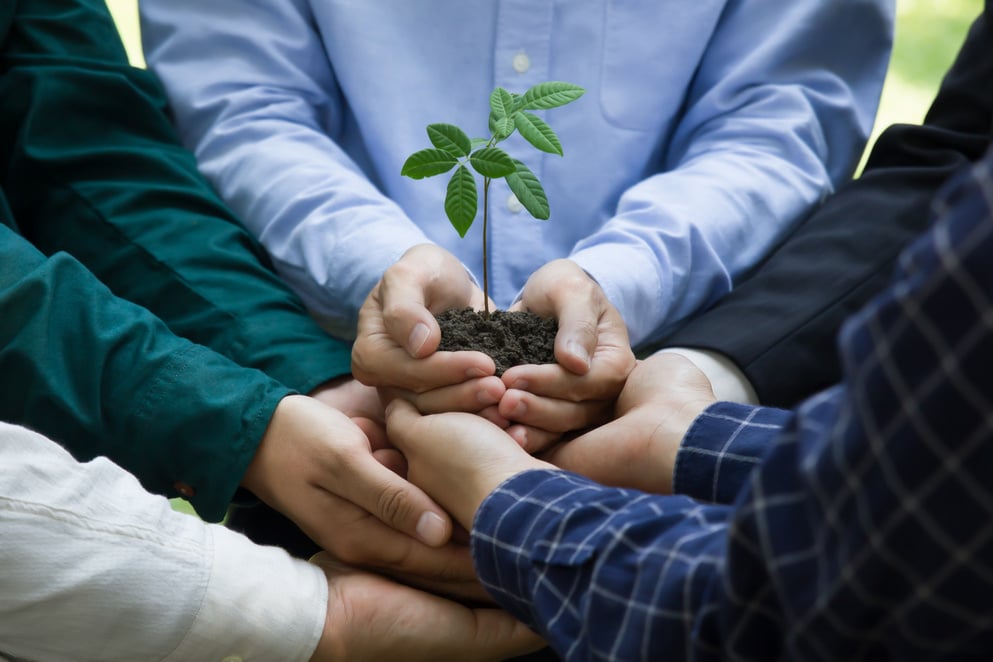 Collaboration between the government, the private sector and the public to help plant trees according to the concept of NET ZERO, ESG, pushing all parties to conduct business with environmental.